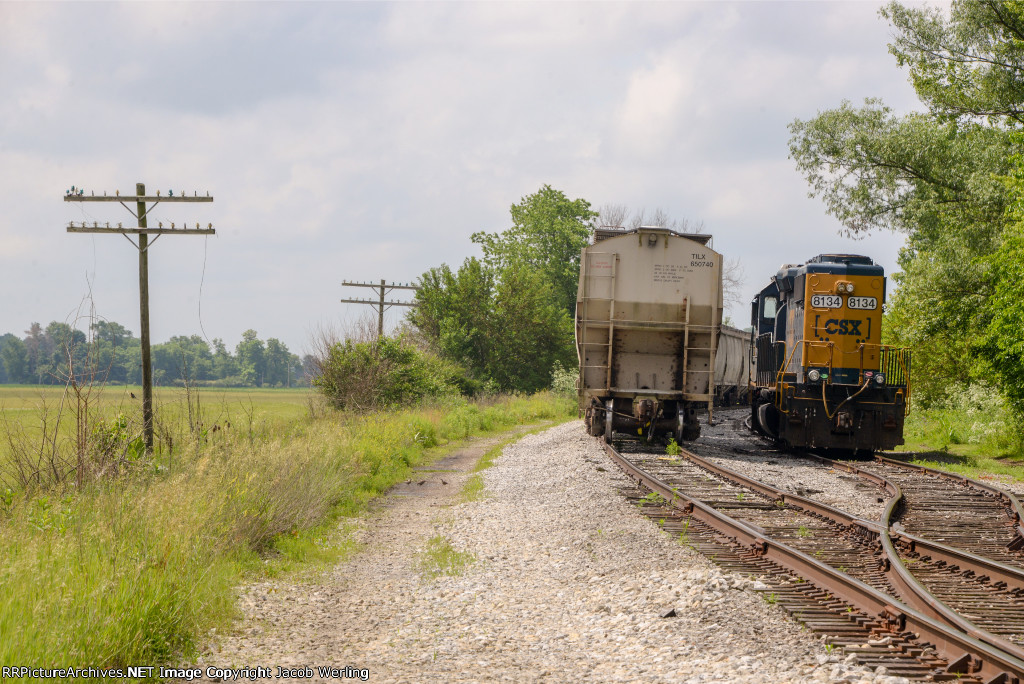 CSX 8134